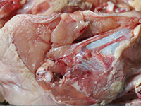 調(diào)味品生產(chǎn)—酶制劑解決方案 調(diào)味品生產(chǎn)—酶制劑解決方案